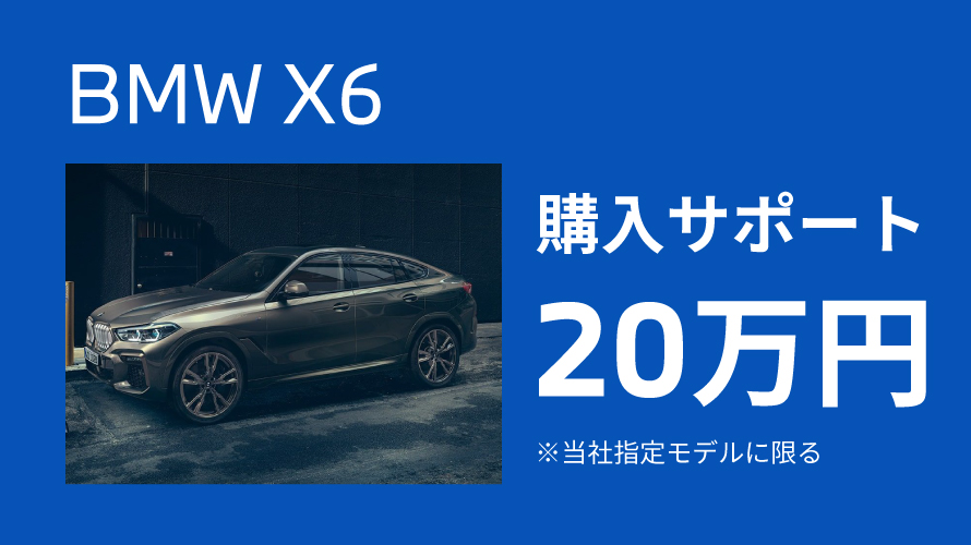 購入サポート X6