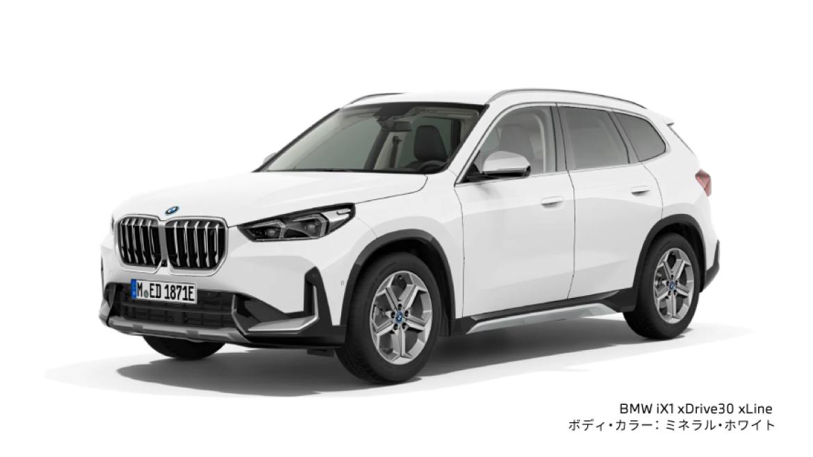 BMW X1 xDrive30 xLine