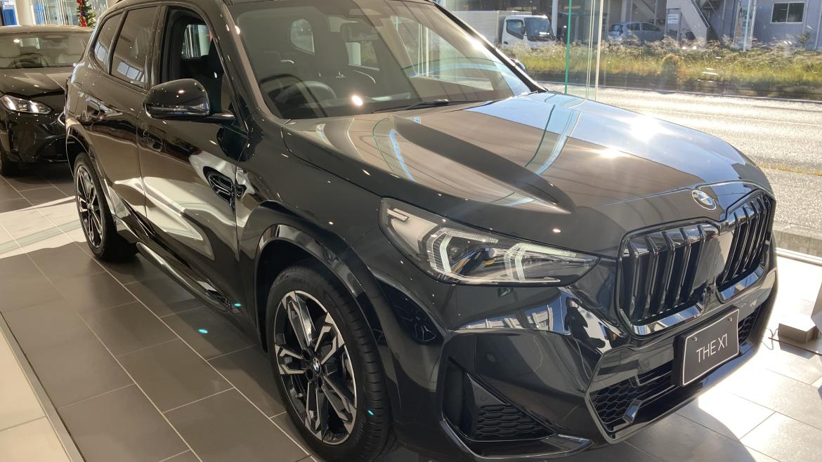 X1 sDrive18i Edition Shadow