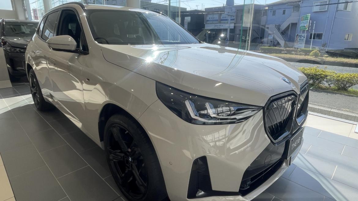 X3 20d xDrive Edition Shadow